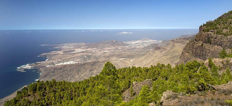 Tamadaba - Bajada de Faneque + Wanderwege auf Gran Canaria