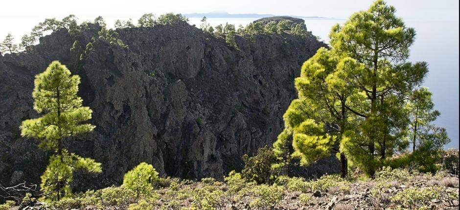 Tamadaba - Bajada de Faneque + Wanderwege auf Gran Canaria