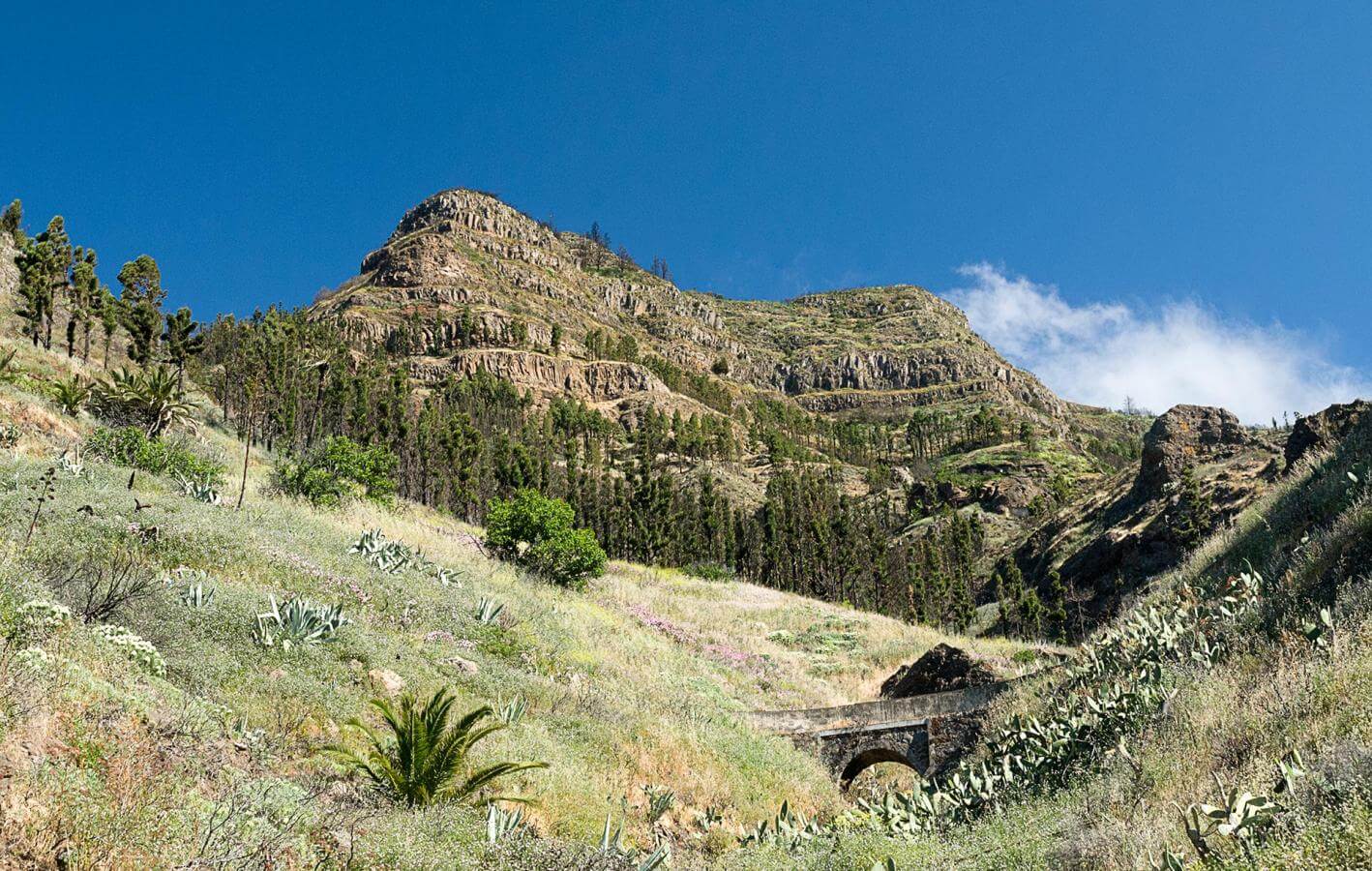 Benchijigua-Playa Santiago. Senderos de La Gomera