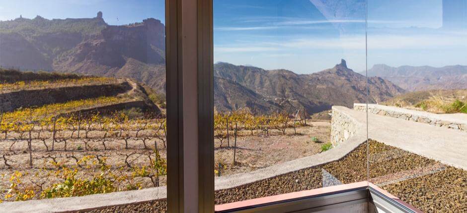 Weingut Bentayga auf Gran Canaria