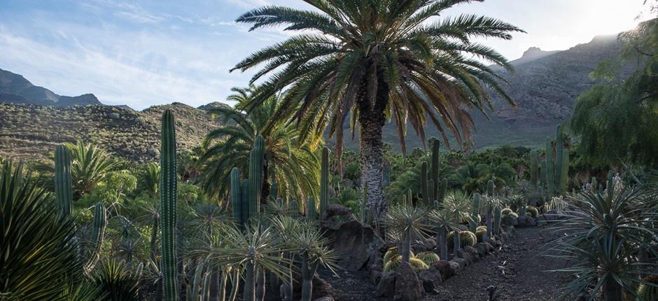 Cactualdea Park  Museen und touristische Zentren auf Gran Canaria