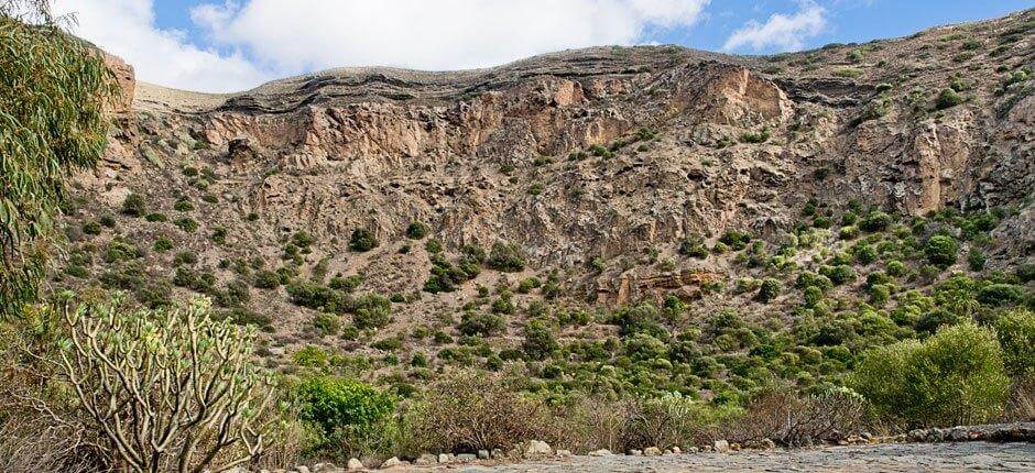 Caldera de Bandama + Wanderwege auf Gran Canaria