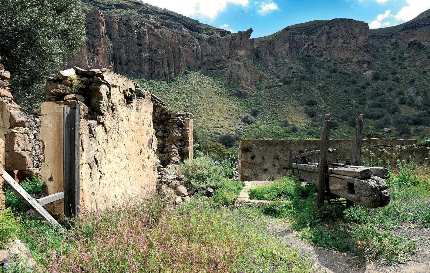 Caldera de Bandama. Senderos de Gran Canaria