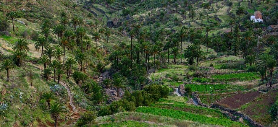 Imada  Dörfer auf La Gomera