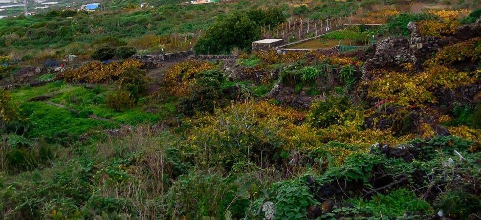 Los Llanillos Dörfer auf El Hierro