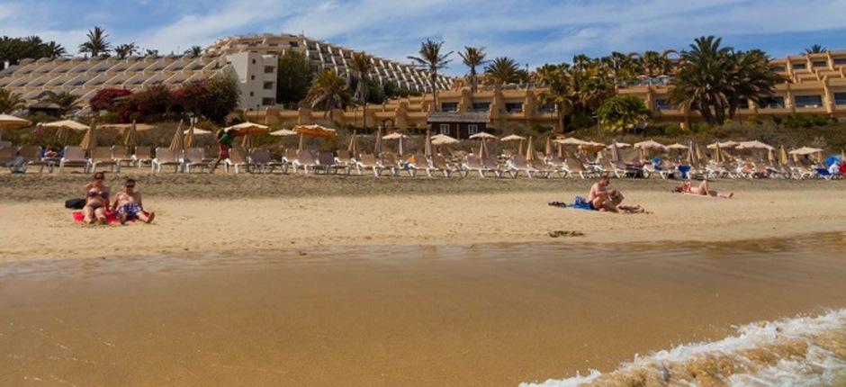 Playa de Costa Calma  Beliebte Strände auf Fuerteventura