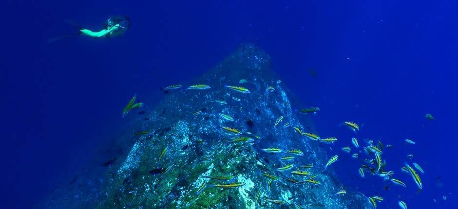 Tauchen in El Bajón auf El Hierro