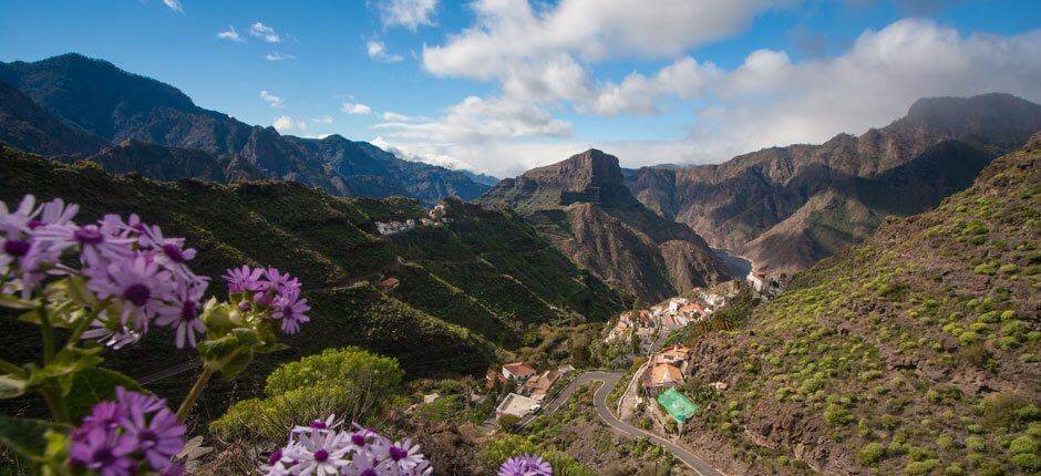El Carrizal de Tejeda  Dörfer auf Gran Canaria
