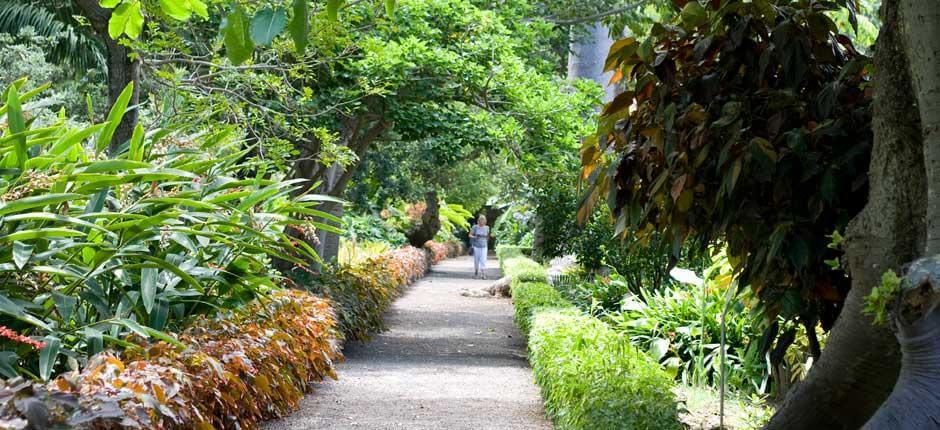 Jardín de Aclimatación de La Orotava Museen und Orte von touristischem Interesse auf Teneriffa