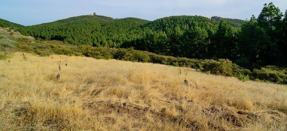 Llanos de Garañón + Sternbeobachtung auf Gran Canaria