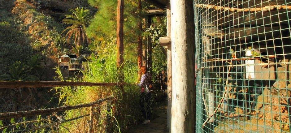 Maroparque Zoos auf La Palma