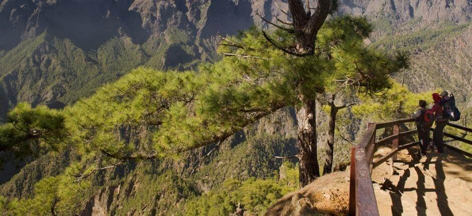 Aussichtspunkt Mirador de La Cumbrecita auf La Palma