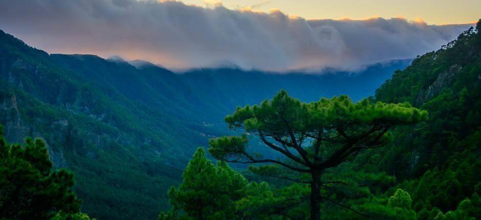 Aussichtspunkt Mirador de La Cumbrecita auf La Palma
