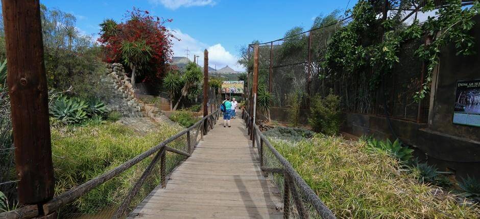 Monkey Park Teneriffa Zoos auf Teneriffa