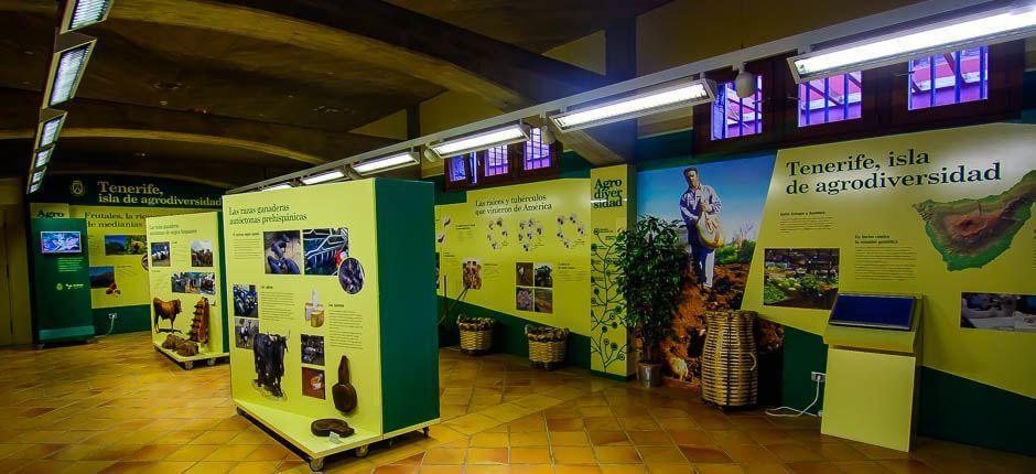 Casa del Vino y la Miel Museen und touristische Zentren auf Teneriffa