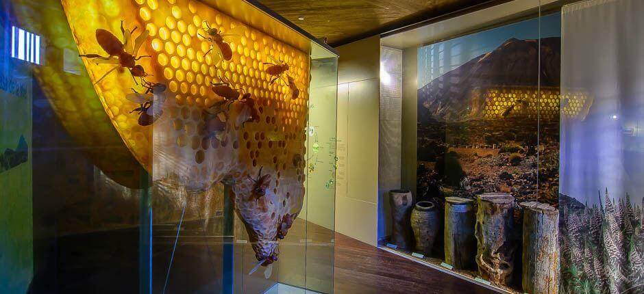 Casa del Vino y la Miel Museen und touristische Zentren auf Teneriffa