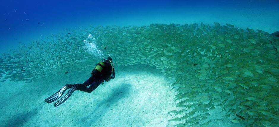 Tauchen in den Wracks von Mogán auf Gran Canaria