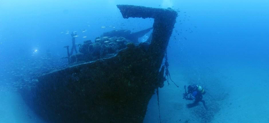 Tauchen im Wrack ‘Plasencia’ auf Gran Canaria