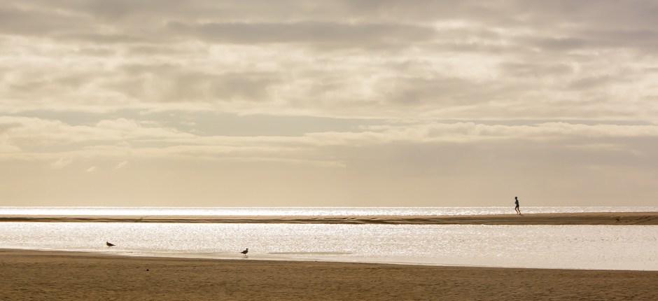 Playa de Sotavento + Unberührte Strände auf Fuerteventura