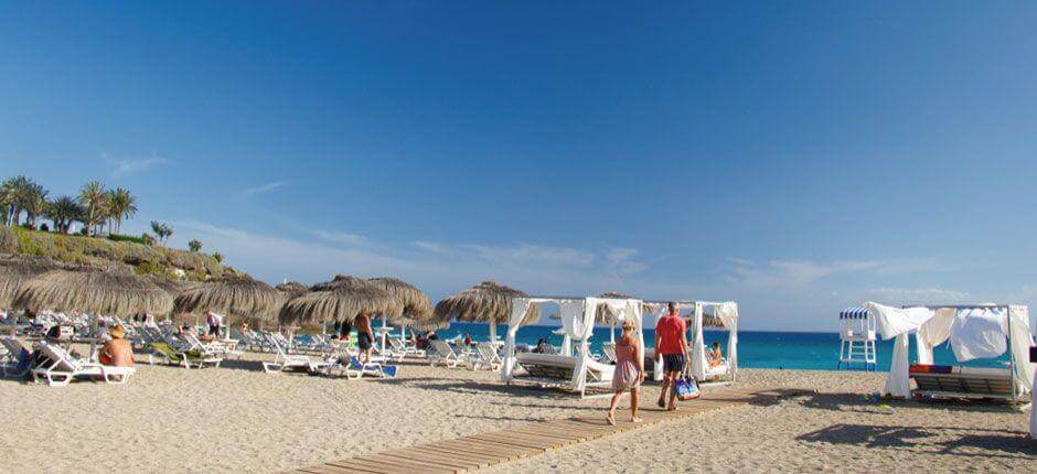 Strand Playa del Duque aus Tenerife