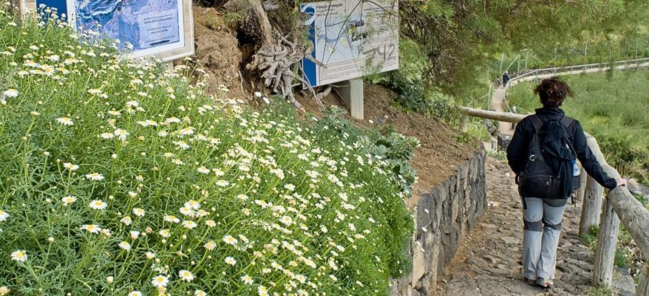 Rambla de Castro + Wanderwege auf Teneriffa