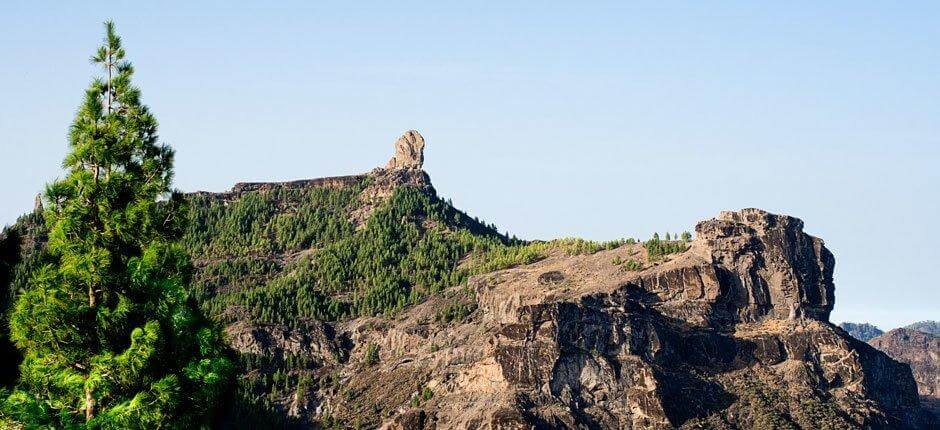 Roque Nublo + Wanderwege auf Gran Canaria