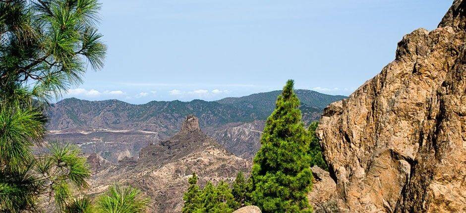 Roque Nublo + Wanderwege auf Gran Canaria