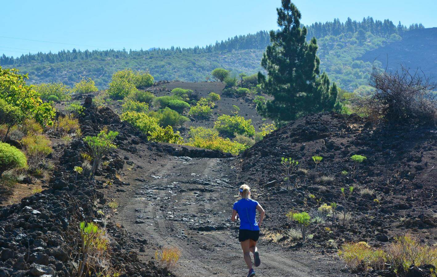 Santiago del Teide-Trail