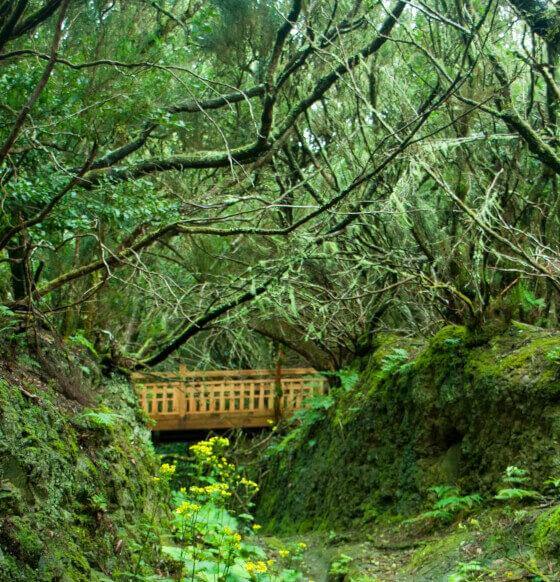 Sendero de Los Sentidos