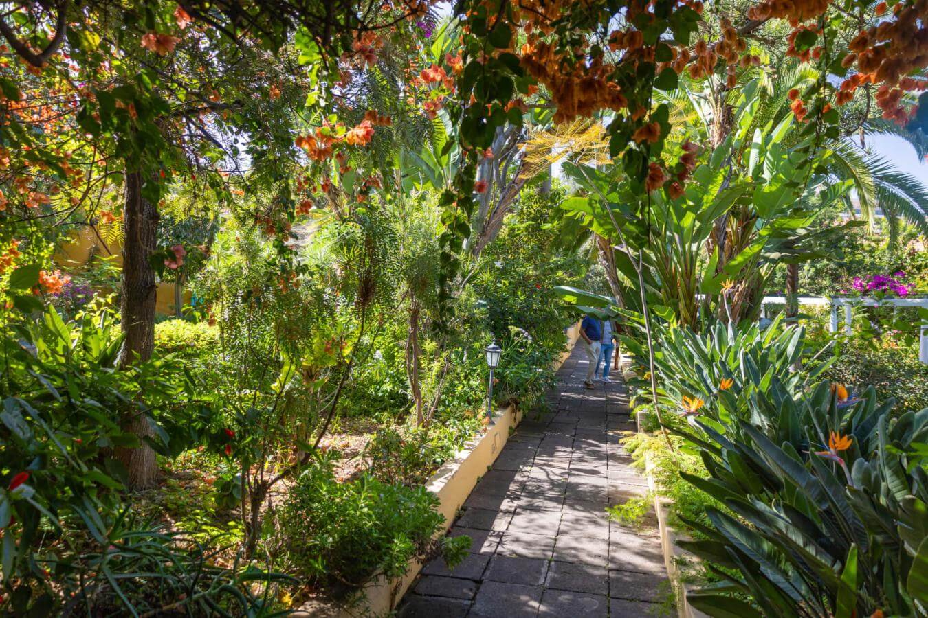 Jardín de Orquídeas Sitio Litre