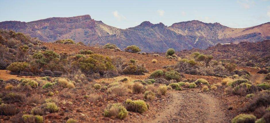 Trail Running Routen auf Teneriffa, Trail Running Routen