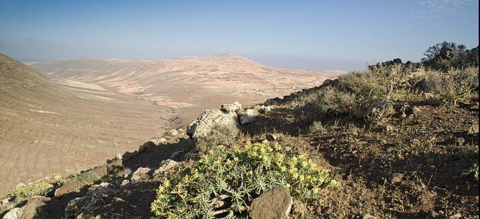Vallebrón + Wanderwege auf Fuerteventura