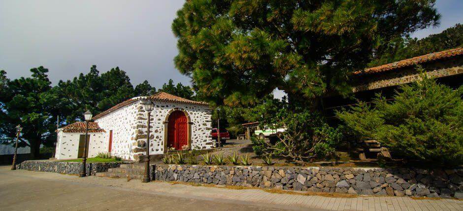 Naherholungsgebiet Las Nieves + Sternbeobachtung auf La Gomera