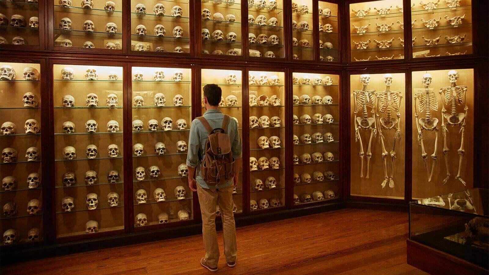 Schädelsaal im Kanarische Museum, Gran Canaria.