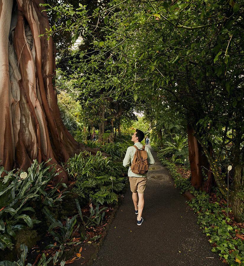 Botanischer Garten in Puerto de La Cruz, Tenerife.